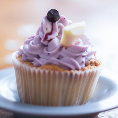 Cute cupcake with blueberry cream