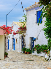 Fototapeta na wymiar A beautiful street in Afionas Garden Village, Corfu, Greece.