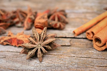 star anise and cinnamon