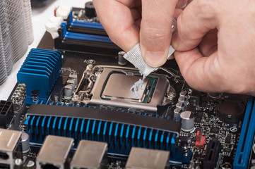 Thermal paste applied on a computer CPU.