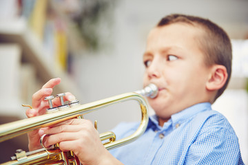 Little trumpeter