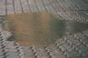 Rain in the city