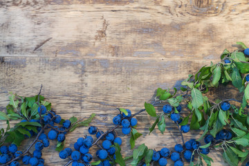 blackthorn branch with blue berries on a wooden background - obrazy, fototapety, plakaty
