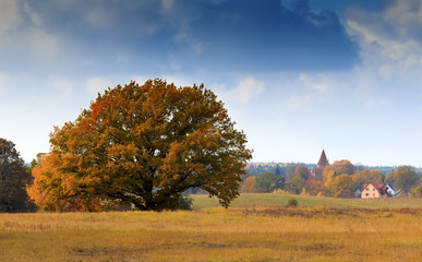 Jesienna Warmia  © Wojciech Lisiński