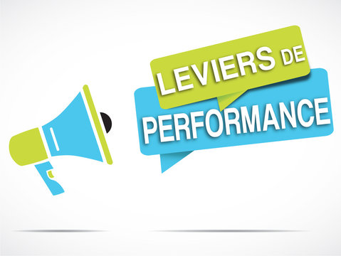 m&eacute;gaphone : leviers de performance