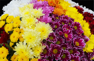 Multicolored gerbera flowers bouquet arragement .