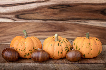 small decorative pumpkin and chestnut on wood