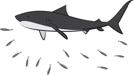 The sharks and fish on a white background. Illustration of a shark vector.
