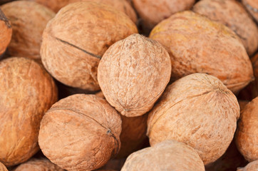 Ripe walnut (Juglans regia), close up, DOF