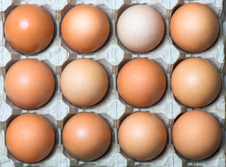 chicken eggs in the tray