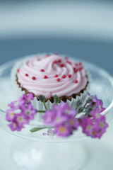 Mini Cupcake Erdbeer