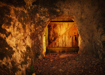 old wooden door in rock, in dark forest