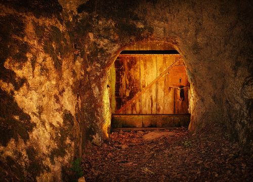 old wooden door in rock, in dark forest