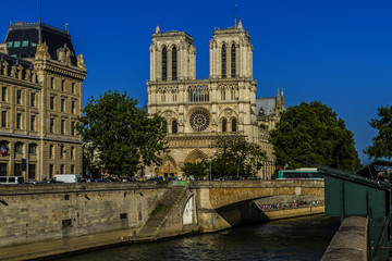 Fototapeta na wymiar Cathedral Notre Dame de Paris. France.