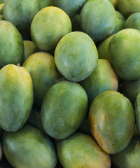 Mango fruit 