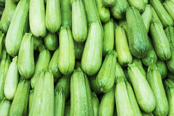 Freshly picked zucchini, food background