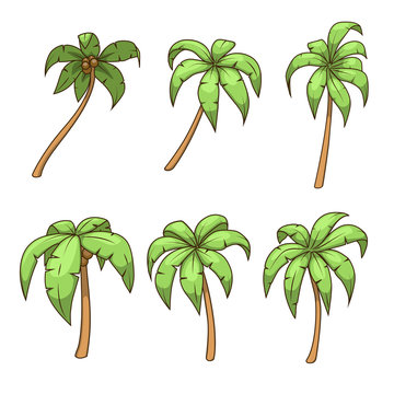 Palm tree set vector illustration