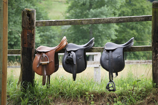Three saddles