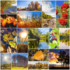 Коллаж на тему осенний пейзаж. Россия, Сибирь, Новосибирская область