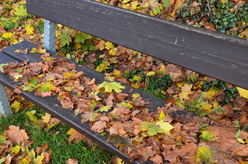 Herbstmotiv - Holzbank im Park - Bl&auml;tterfall 