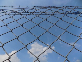 Barbed wire and sky