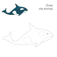 Learn to draw animal whale vector illustration
