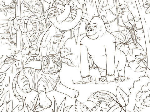 Jungle animals cartoon coloring book vector