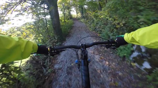 Mountain biker riding through the forest in fall