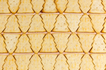 Christmas tree biscuits