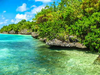 Aigrettes island Mauritius