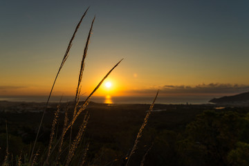 Costa Blanca sunrise