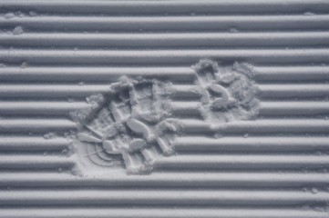 footprint on the snow