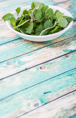 Fresh mint leaves in a white bowl over white background