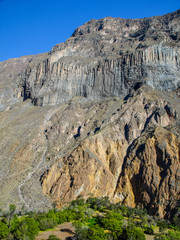 Green oasis on the bottom of Colca Canyon in Peru