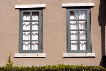 Fototapeta na wymiar window of a house covered with ivy