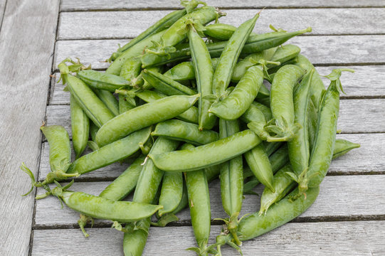 Freshly picked peas on a wooden table.