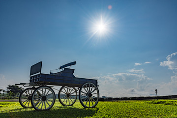Fototapeta na wymiar carriage on green grass(Silhouette)