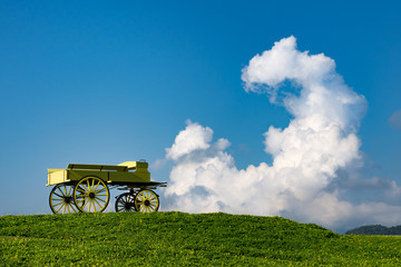 Fototapeta na wymiar carriage on green grass at Clear sky