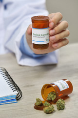 Doctor hand holding bottle with medical cannabis close up