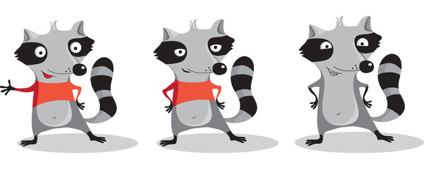 Vector illustration set of funny cartoon raccoon. Friendly raccoon, raccoon proud, wild raccoon.