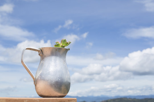 Chocolatera reciclada en maceta