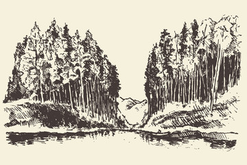 Hand drawn landscape lake and fir forest vector