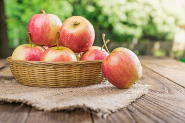 Organic apples in basket in summer grass. Fresh apples in nature