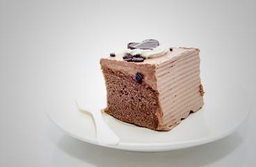 single piece of chocolate cake .