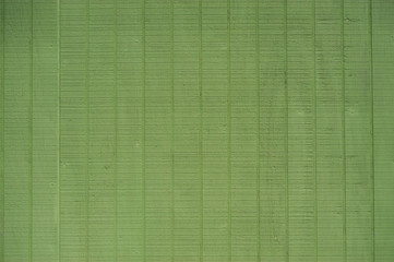 wood wall in green color