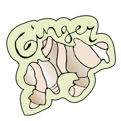 Vector illustration of a ginger root.
