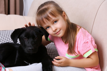 Little cute girl with puppy on sofa at home