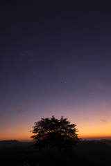 Fototapeta na wymiar Silhouette tree and moon at sunrise Kintamani Bali ,Indonesia.