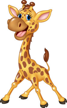 Cartoon happy giraffe isolated on white background