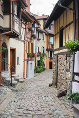 Fototapeta na wymiar Street with half-timbered medieval houses in Eguisheim village